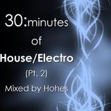 30 Minutes of "House/Electro" (Pt. 2)