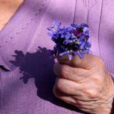 OSkr1 pres. Tu ramito de violetas