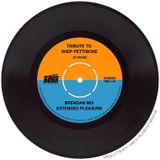 Tribute to Shep Pettibone (Brendan Mix Extended Pleasure)