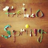 SPRING VIBE By DUBOKO DEEP