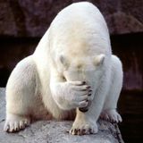 @Homopatik Oktobär ://about blank, Berlin.