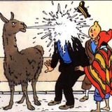 zenebou world Tintin au pays des Incas janvier 2015