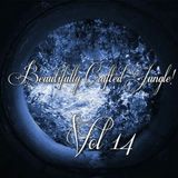 DJ Monita - Beautifully Crafted Jungle Volume 14