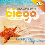 Summer 2015 - Set #5 by Ciego Dj (Matias Tannure)