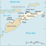 Learning through direct experience – Timor Leste