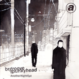 Br Groove & Punkyhead - Elektro (Another Night Out - ANARCHY026)