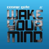 Cosmic Gate - 03. Wake Your Mind (with Cary Brothers)