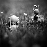 #21 - The Last Wars