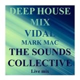 DEEP HOUSE LIVE MIX FOR VIDAL MARK MAC FOR THE THE SOUNDS COLLECTIVE.