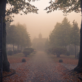 Cold November Rain