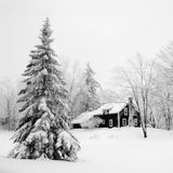 White Christmas