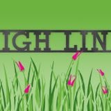 MDO live High Line