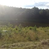 Our Summertime