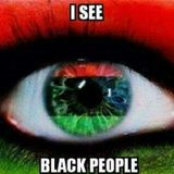 Freedom Ain't A Dream {I C Black people mix}