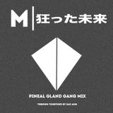 MADFUTURE | PINEAL GLAND GANG MIX 5 | MIXED BY IAO AUM