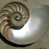 LIGHTWARRIOR - Spiral Wedendsays 001