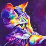 Mix For Kitty