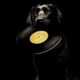 Barnaba's Funk