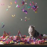 New Year's Eve Neurofunk Special 2016