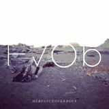 HVOB - ONE YEAR OF MADNESS MIX