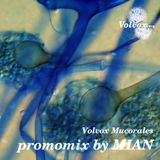 Volvox Mucorales promomix by MIAN