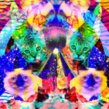 Future Sounds