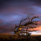 ISOLATED ISLAND poadcast :-by ACID FERZ