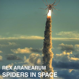 Spiders in Space