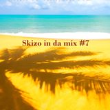 #skizo in the mix