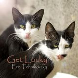 Get Lucky by Eric Tchaikovsky