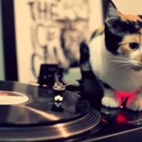 LIVE SET: Raw G-House