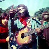 Funky Jungle Mix