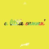 A LITTLE SUMMN (2013)