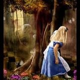 Alice through the looking glass