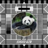 DJ Bad Panda Bear Necessities Live Mix 2 (Studio 26 Podcast # 12)