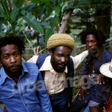 The Wailing Souls - Palo Alto, CA 1985 Soundboard Full Concert