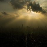 Dark Summer Session