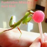 Punkryden Mixtape : April 2014