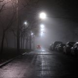 MG#7 Night drive
