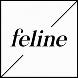 SPFZ At Feline (Nitsa Club, Barcelona) 23 August 2015