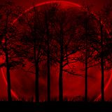 Ben Marcel_Une nuit sans l'une