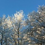 Leaf's winter 08 mix.mp3