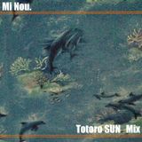 Totoro Sun