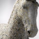 Dj Mauri Maori _-_ The Year of the Horse _ Agosto 2014