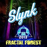 (2013) Slynk - LIVE @ Shambhala Fractal Forest