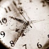 Broken Time Machine (Promo July 2011)