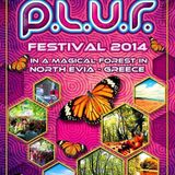 PLUR festival - Dorito dj set
