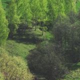 Radio PoChetvergam 008