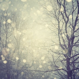 In The Heart Of December