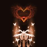 ˚Warm Heart˚ cozy & sweet nu-disco tech house mix